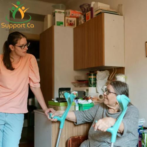 Household assistance and home maintenance